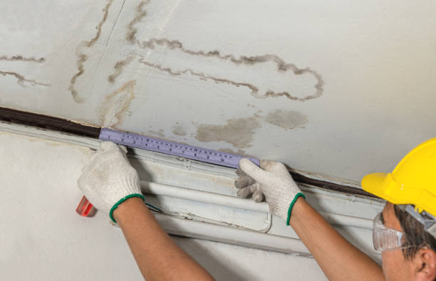 Reliable Burst Pipe Cleanup contractor in Brighton, CO by Water Damage Irwin